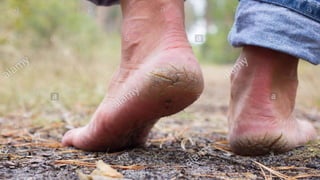 Copyright 2003 by Mosby, Inc. All rights
reserved.
 