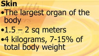 Skin
•The largest organ of the
body
•1.5 – 2 sq meters
•4 kilograms, 7-15% of
total body weight
 
