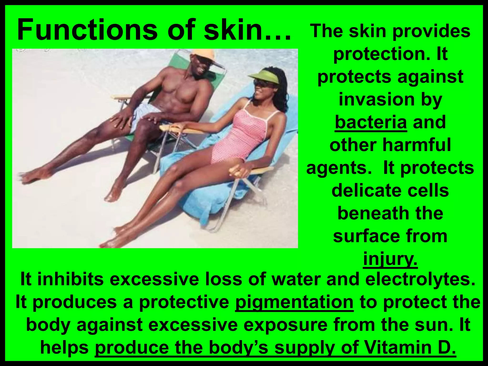 Functions of skin…
It inhibits excessive loss of water and electrolytes.
It produces a protective pigmentation to protect the
body against excessive exposure from the sun. It
helps produce the body’s supply of Vitamin D.
The skin provides
protection. It
protects against
invasion by
bacteria and
other harmful
agents. It protects
delicate cells
beneath the
surface from
injury.
 