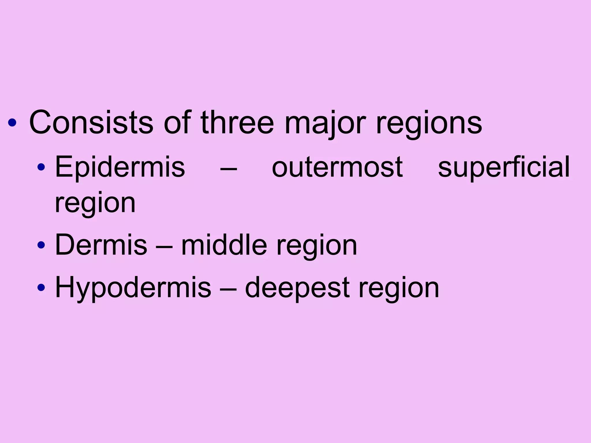 • Consists of three major regions
• Epidermis – outermost superficial
region
• Dermis – middle region
• Hypodermis – deepest region
 