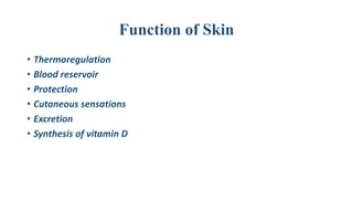 Function of Skin
• Thermoregulation
• Blood reservoir
• Protection
• Cutaneous sensations
• Excretion
• Synthesis of vitamin D
 