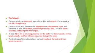  The Subcutis
 The subcutis is the innermost layer of the skin, and consists of a network of
fat and collagen cells.
 The subcutis is also known as the hypodermis or subcutaneous layer, and
functions as both an insulator, conserving the body's heat, and as a shock-
absorber, protecting the inner organs.
 It also stores fat as an energy reserve for the body. The blood vessels, nerves,
lymph vessels, and hair follicles also cross through this layer.
 The thickness of the subcutis layer varies throughout the body and from
person to person.
 