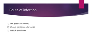 Route of infection
 