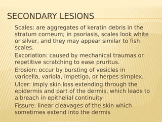 SECONDARY LESIONS
 Scales: are aggregates of keratin debris in the
stratum corneum; in psoriasis, scales look white
or silver, and they may appear similar to fish
scales.
 Excoriation: caused by mechanical traumas or
repetitive scratching to ease pruritus.
 Erosion: occur by bursting of vesicles in
varicella, variola, impetigo, or herpes simplex.
 Ulcer: imply skin loss extending through the
epidermis and part of the dermis, which leads to
a breach in epithelial continuity
 Fissure: linear cleavages of the skin which
sometimes extend into the dermis
 