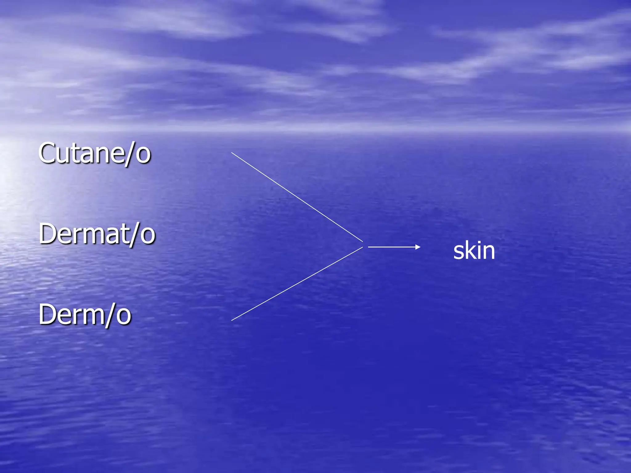 Cutane/o
Dermat/o
Derm/o
skin
 