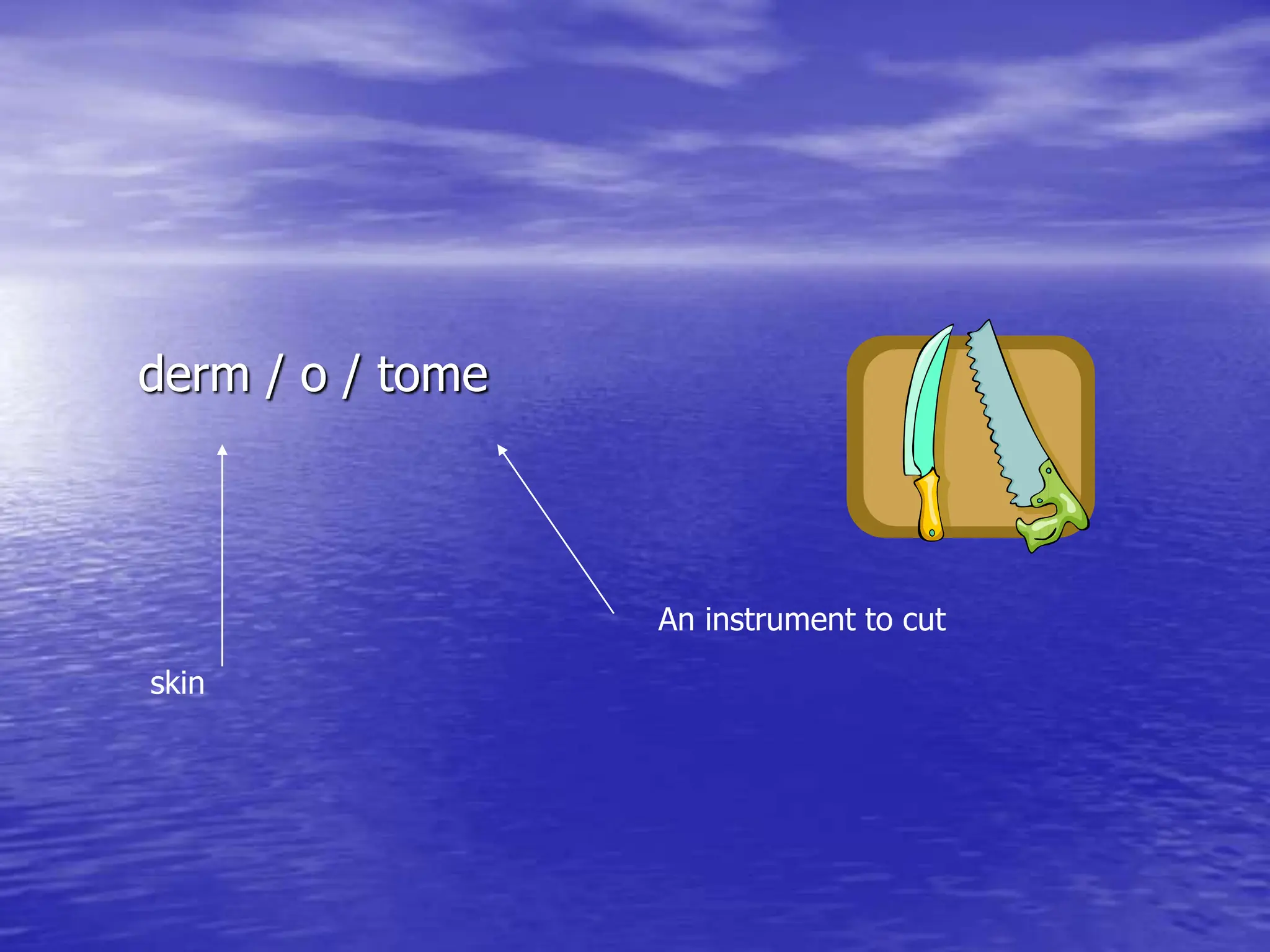 derm / o / tome
An instrument to cut
skin
 