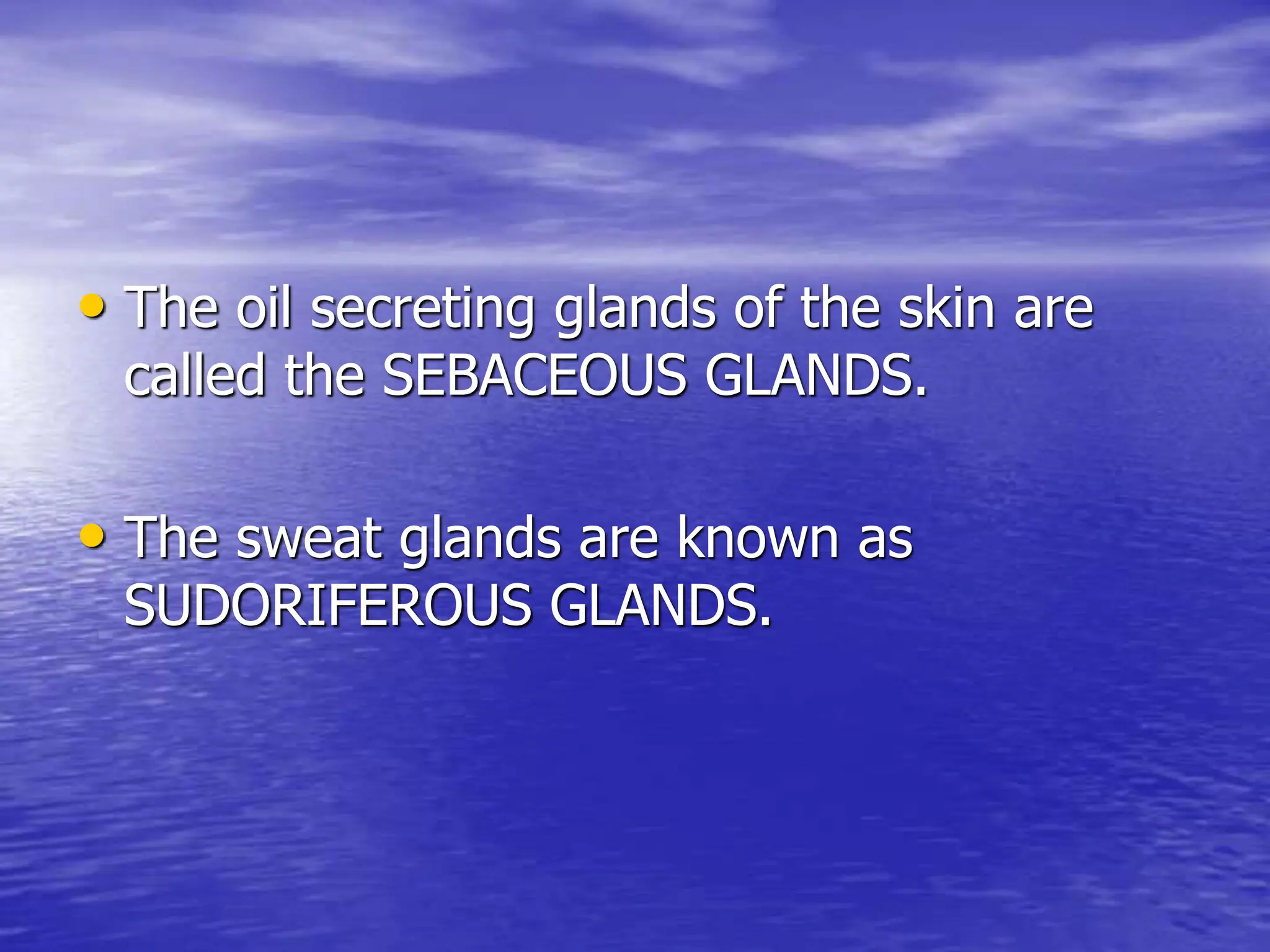 • The oil secreting glands of the skin are
called the SEBACEOUS GLANDS.
• The sweat glands are known as
SUDORIFEROUS GLANDS.
 
