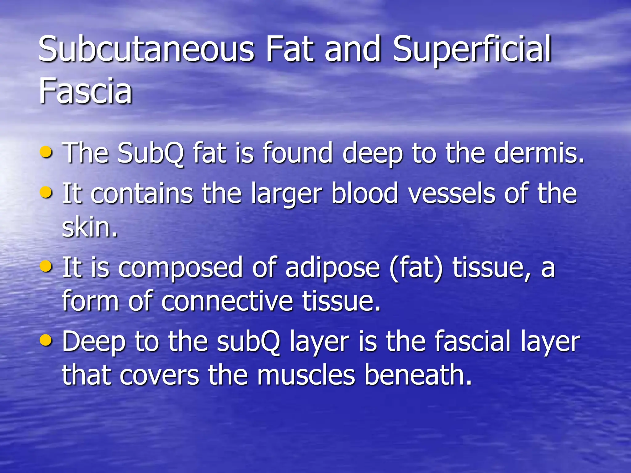 Subcutaneous Fat and Superficial
Fascia
• The SubQ fat is found deep to the dermis.
• It contains the larger blood vessels of the
skin.
• It is composed of adipose (fat) tissue, a
form of connective tissue.
• Deep to the subQ layer is the fascial layer
that covers the muscles beneath.
 