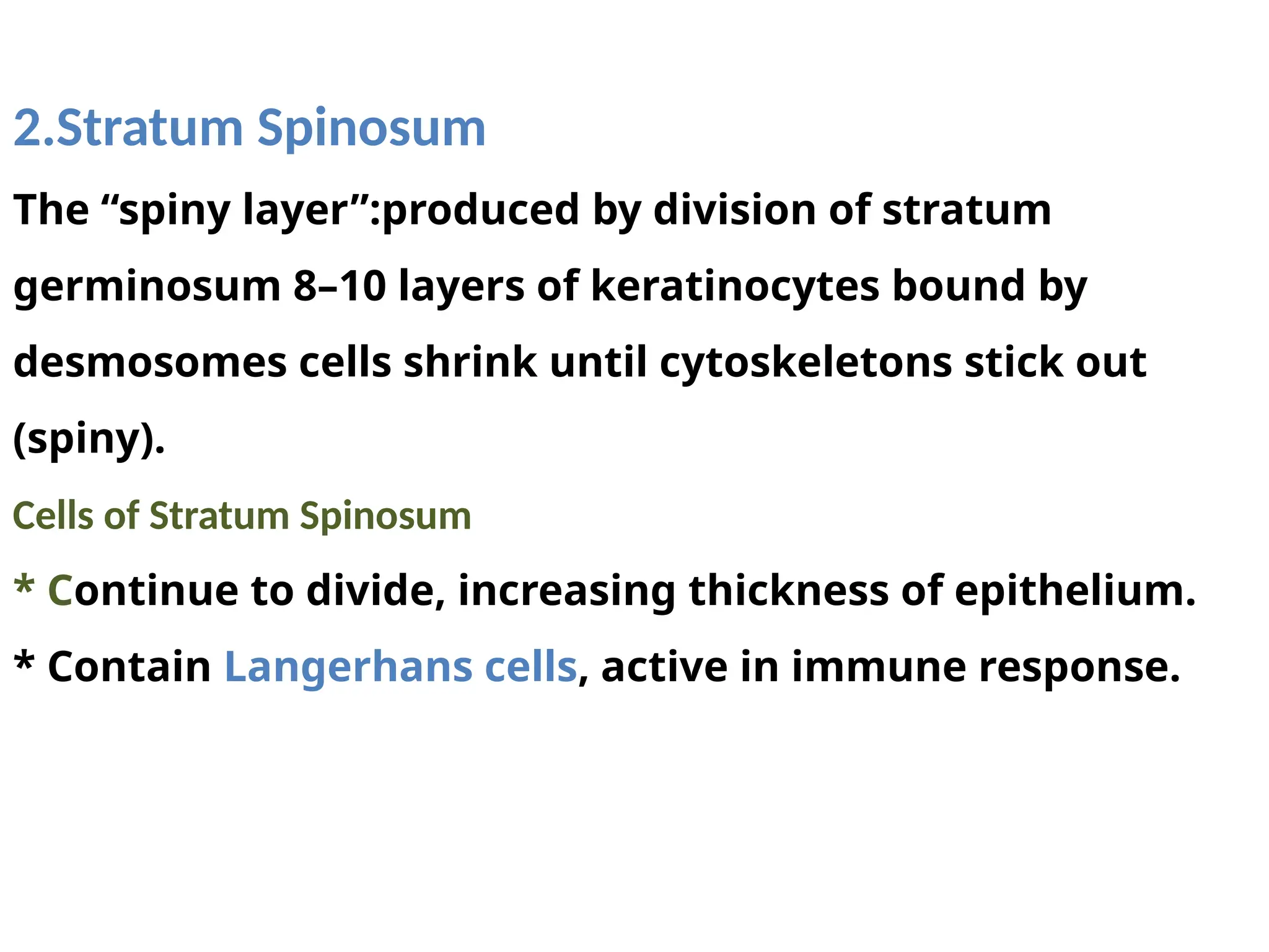Integumentary System: Structure, Functions, and Importance | PPTX