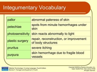Integumentary System.ppt specifcally in medical terminology | PPT