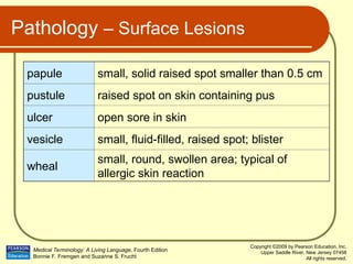 Integumentary System.ppt specifcally in medical terminology | PPT