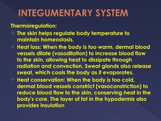 INTEGUMENTARY SYSTEM.pptx #organsystems | PPTX