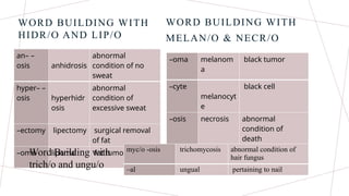 Hyperhidr Integumentary System medical terminology | PPTX
