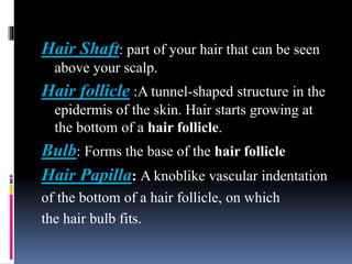 Hair Shaft: part of your hair that can be seen
above your scalp.
Hair follicle :A tunnel-shaped structure in the
epidermis of the skin. Hair starts growing at
the bottom of a hair follicle.
Bulb: Forms the base of the hair follicle
Hair Papilla: A knoblike vascular indentation
of the bottom of a hair follicle, on which
the hair bulb fits.
 
