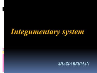 SHAZIA REHMAN
Integumentary system
 