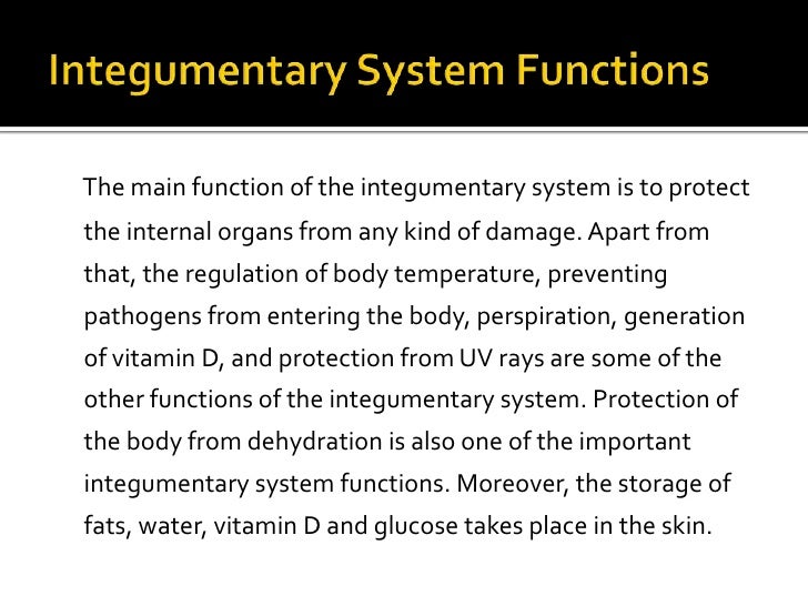 Integumentary system presen.03