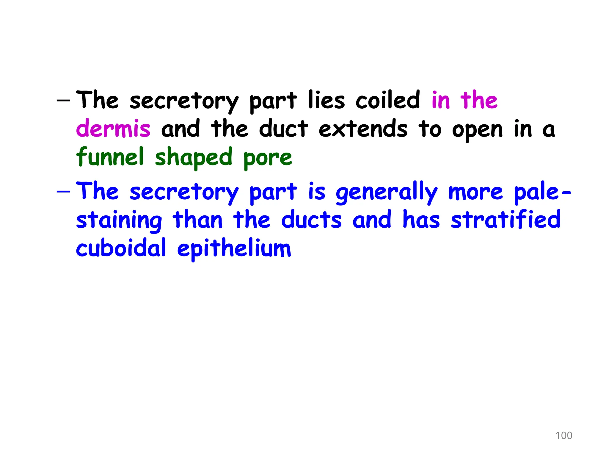 – The secretory part lies coiled in the
dermis and the duct extends to open in a
funnel shaped pore
– The secretory part is generally more pale-
staining than the ducts and has stratified
cuboidal epithelium
100
 
