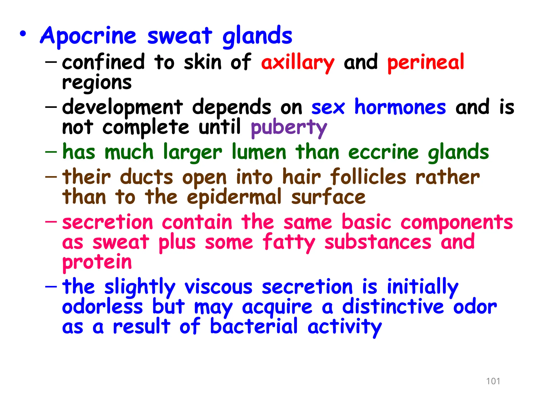 • Apocrine sweat glands
– confined to skin of axillary and perineal
regions
– development depends on sex hormones and is
not complete until puberty
– has much larger lumen than eccrine glands
– their ducts open into hair follicles rather
than to the epidermal surface
– secretion contain the same basic components
as sweat plus some fatty substances and
protein
– the slightly viscous secretion is initially
odorless but may acquire a distinctive odor
as a result of bacterial activity
101
 