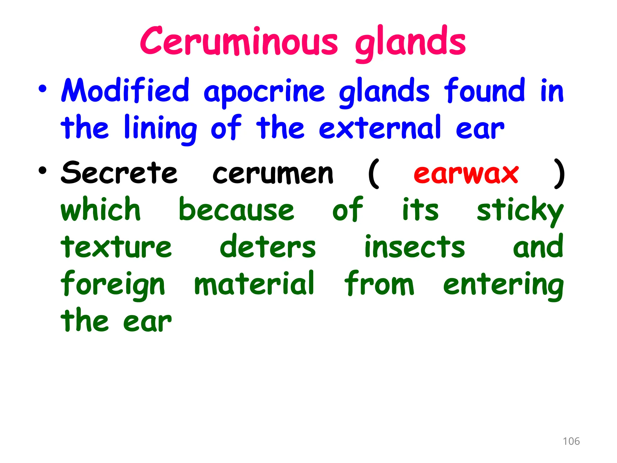 Ceruminous glands
• Modified apocrine glands found in
the lining of the external ear
• Secrete cerumen ( earwax )
which because of its sticky
texture deters insects and
foreign material from entering
the ear
106
 