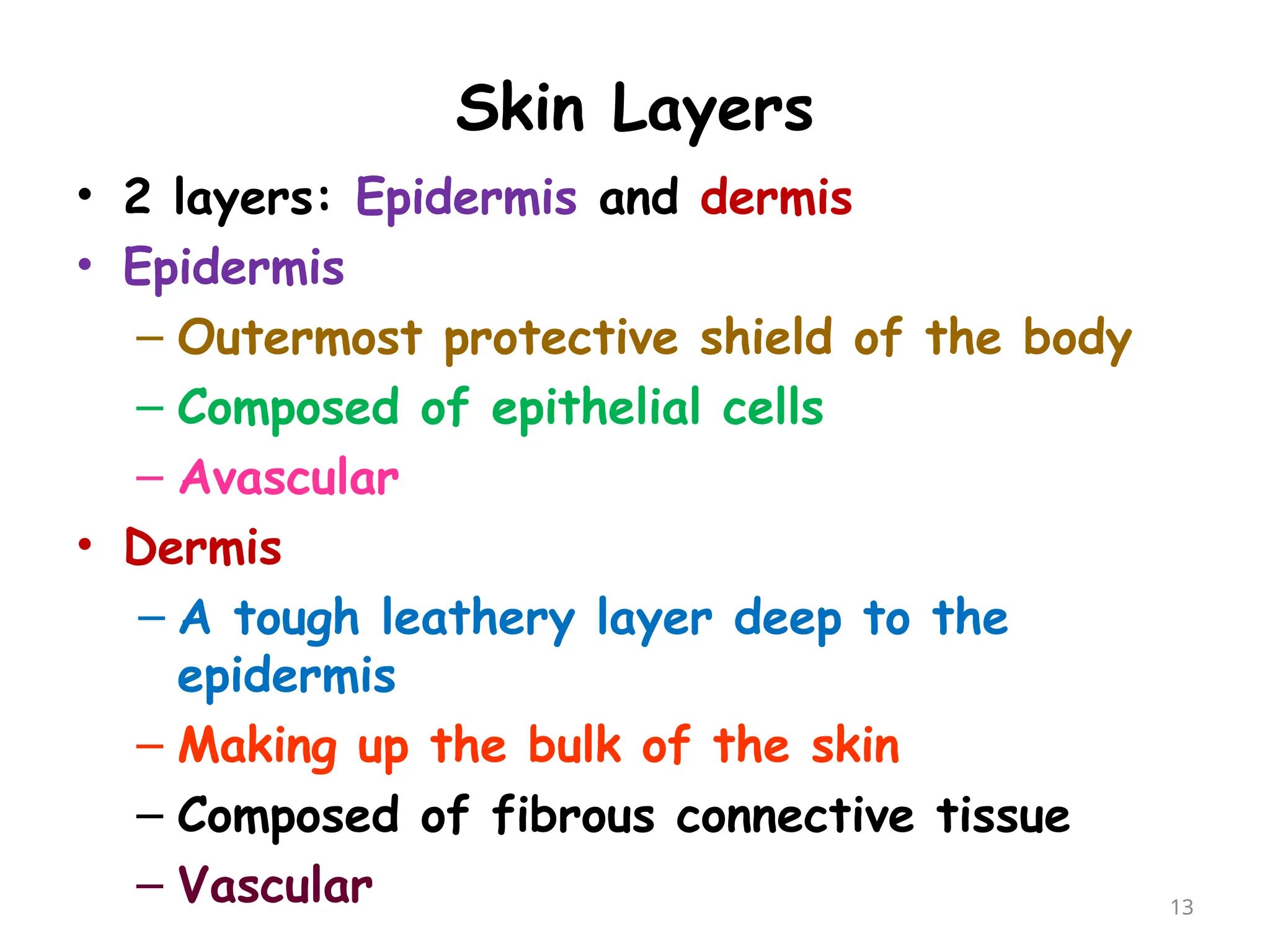 Skin Layers
• 2 layers: Epidermis and dermis
• Epidermis
– Outermost protective shield of the body
– Composed of epithelial cells
– Avascular
• Dermis
– A tough leathery layer deep to the
epidermis
– Making up the bulk of the skin
– Composed of fibrous connective tissue
– Vascular 13
 