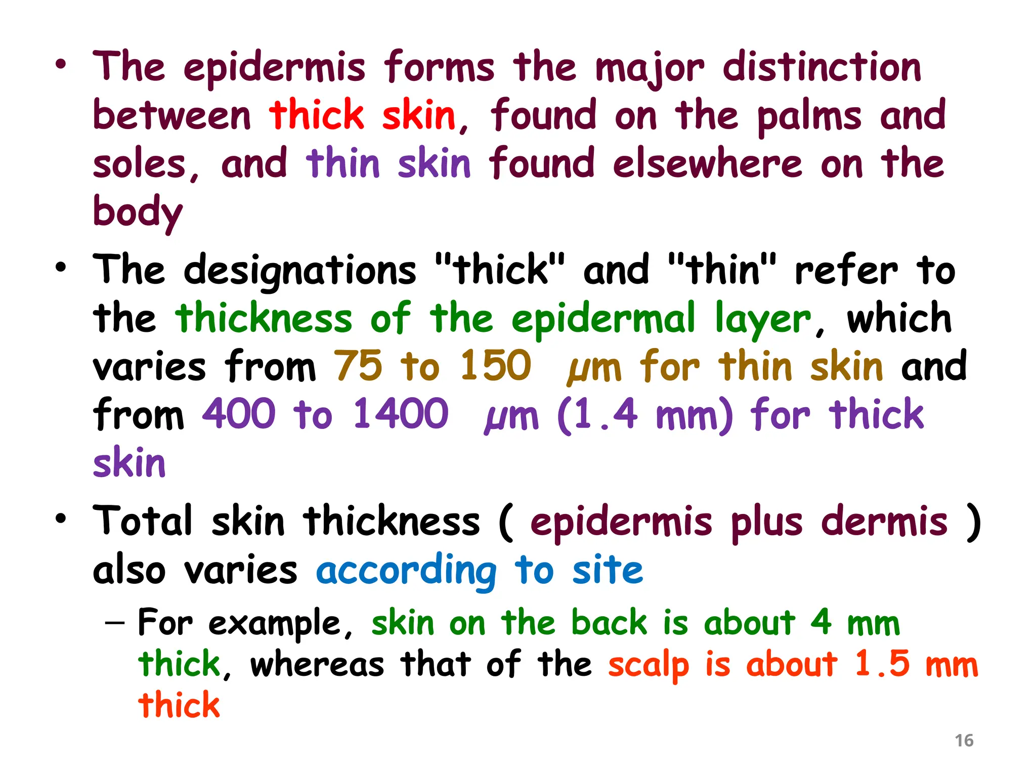 • The epidermis forms the major distinction
between thick skin, found on the palms and
soles, and thin skin found elsewhere on the
body
• The designations "thick" and "thin" refer to
the thickness of the epidermal layer, which
varies from 75 to 150 µm for thin skin and
from 400 to 1400 µm (1.4 mm) for thick
skin
• Total skin thickness ( epidermis plus dermis )
also varies according to site
– For example, skin on the back is about 4 mm
thick, whereas that of the scalp is about 1.5 mm
thick
16
 