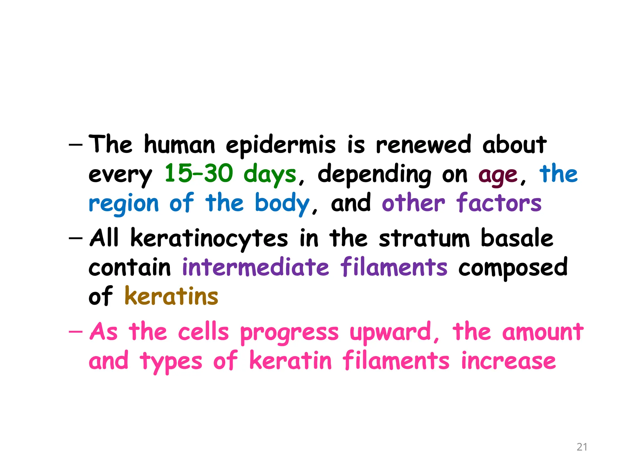 – The human epidermis is renewed about
every 15–30 days, depending on age, the
region of the body, and other factors
– All keratinocytes in the stratum basale
contain intermediate filaments composed
of keratins
– As the cells progress upward, the amount
and types of keratin filaments increase
21
 