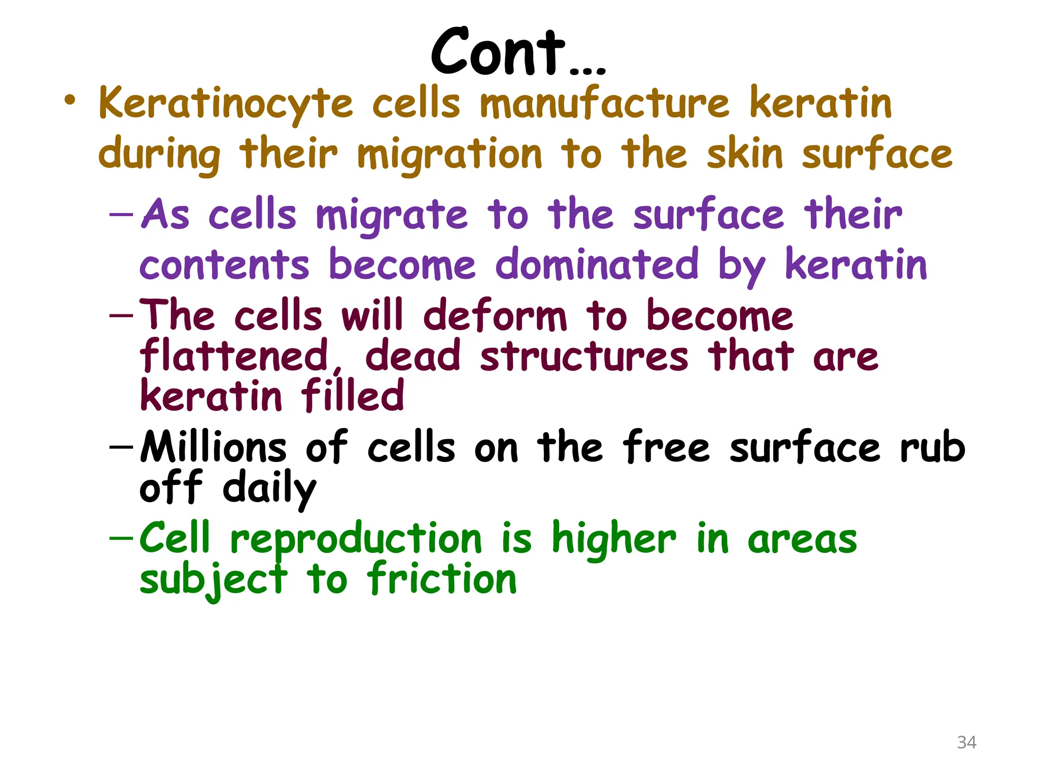 Cont…
• Keratinocyte cells manufacture keratin
during their migration to the skin surface
–As cells migrate to the surface their
contents become dominated by keratin
–The cells will deform to become
flattened, dead structures that are
keratin filled
–Millions of cells on the free surface rub
off daily
–Cell reproduction is higher in areas
subject to friction
34
 