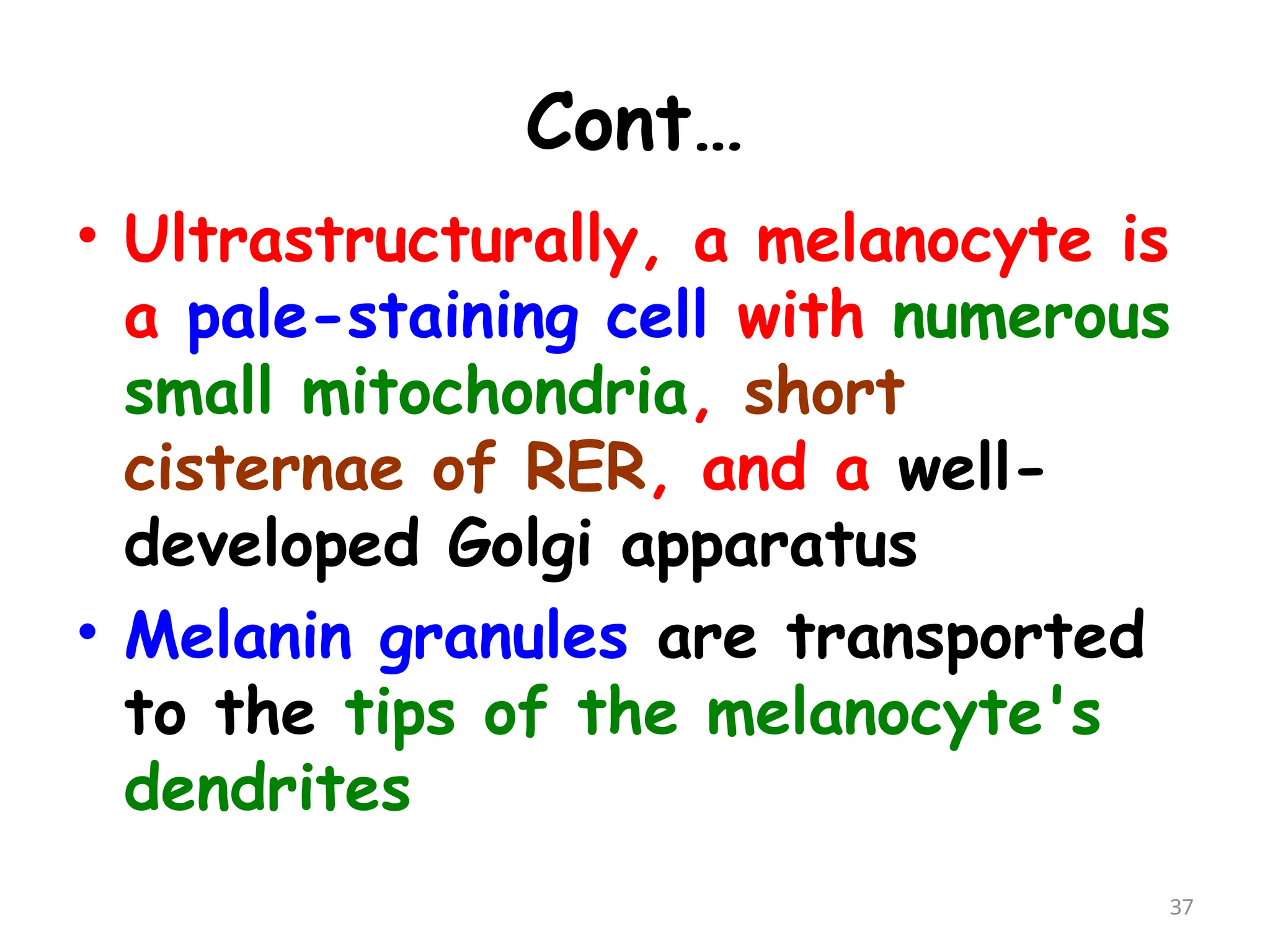 Cont…
• Ultrastructurally, a melanocyte is
a pale-staining cell with numerous
small mitochondria, short
cisternae of RER, and a well-
developed Golgi apparatus
• Melanin granules are transported
to the tips of the melanocyte's
dendrites
37
 