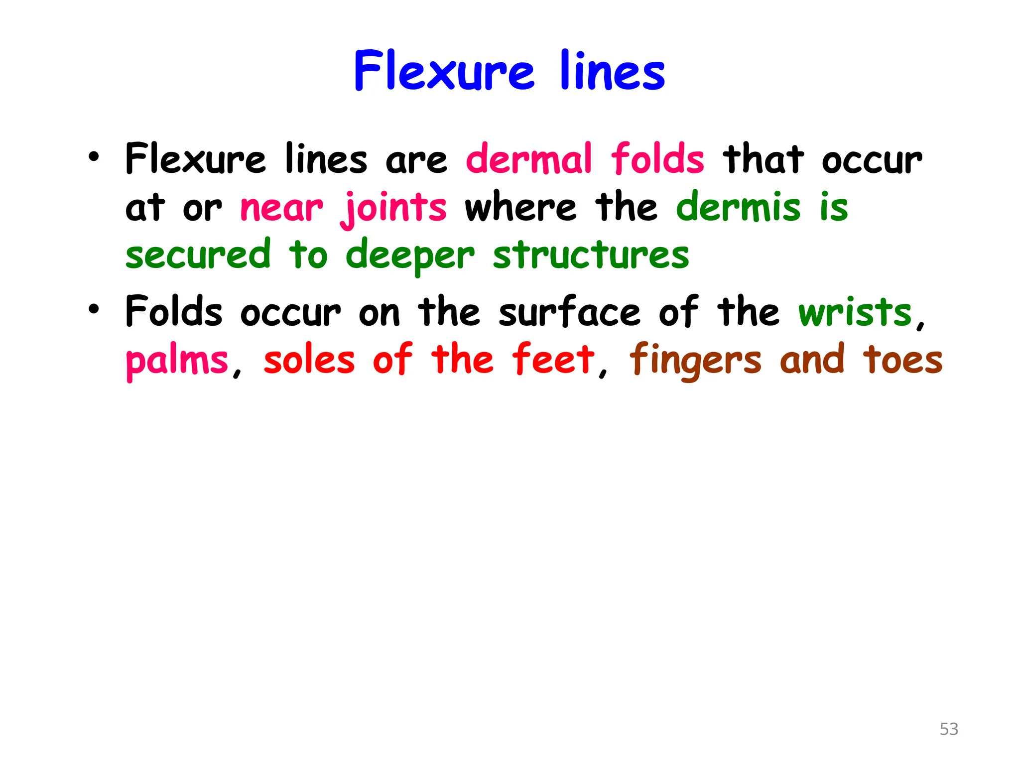 Flexure lines
• Flexure lines are dermal folds that occur
at or near joints where the dermis is
secured to deeper structures
• Folds occur on the surface of the wrists,
palms, soles of the feet, fingers and toes
53
 
