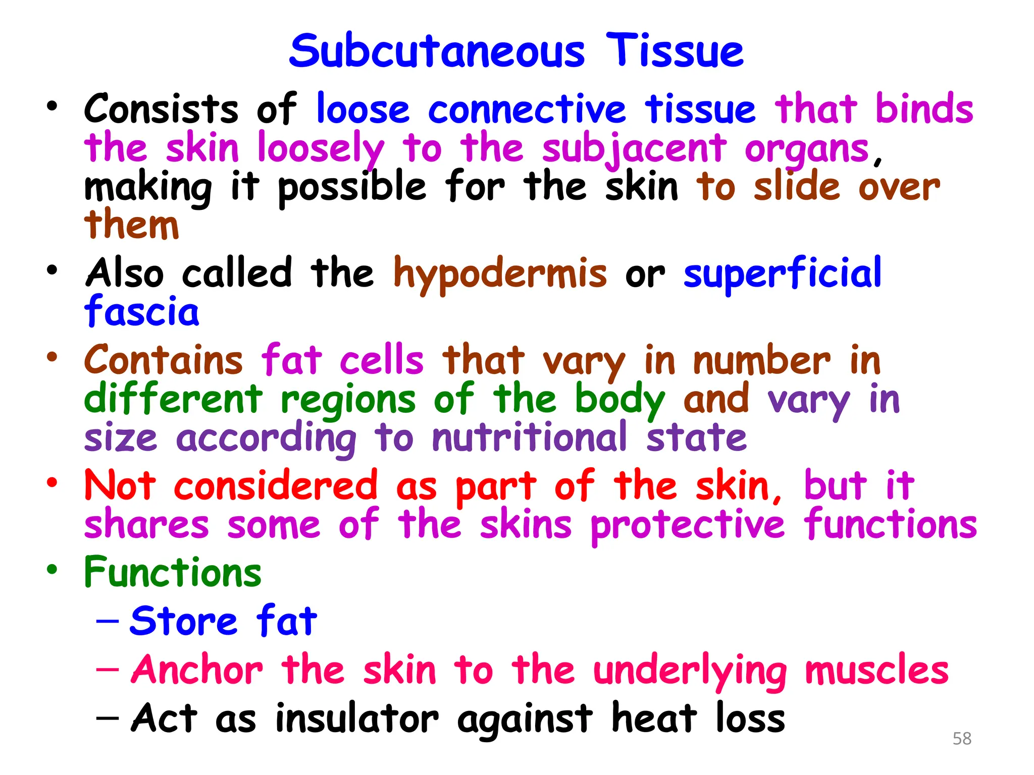 Subcutaneous Tissue
• Consists of loose connective tissue that binds
the skin loosely to the subjacent organs,
making it possible for the skin to slide over
them
• Also called the hypodermis or superficial
fascia
• Contains fat cells that vary in number in
different regions of the body and vary in
size according to nutritional state
• Not considered as part of the skin, but it
shares some of the skins protective functions
• Functions
– Store fat
– Anchor the skin to the underlying muscles
– Act as insulator against heat loss 58
 