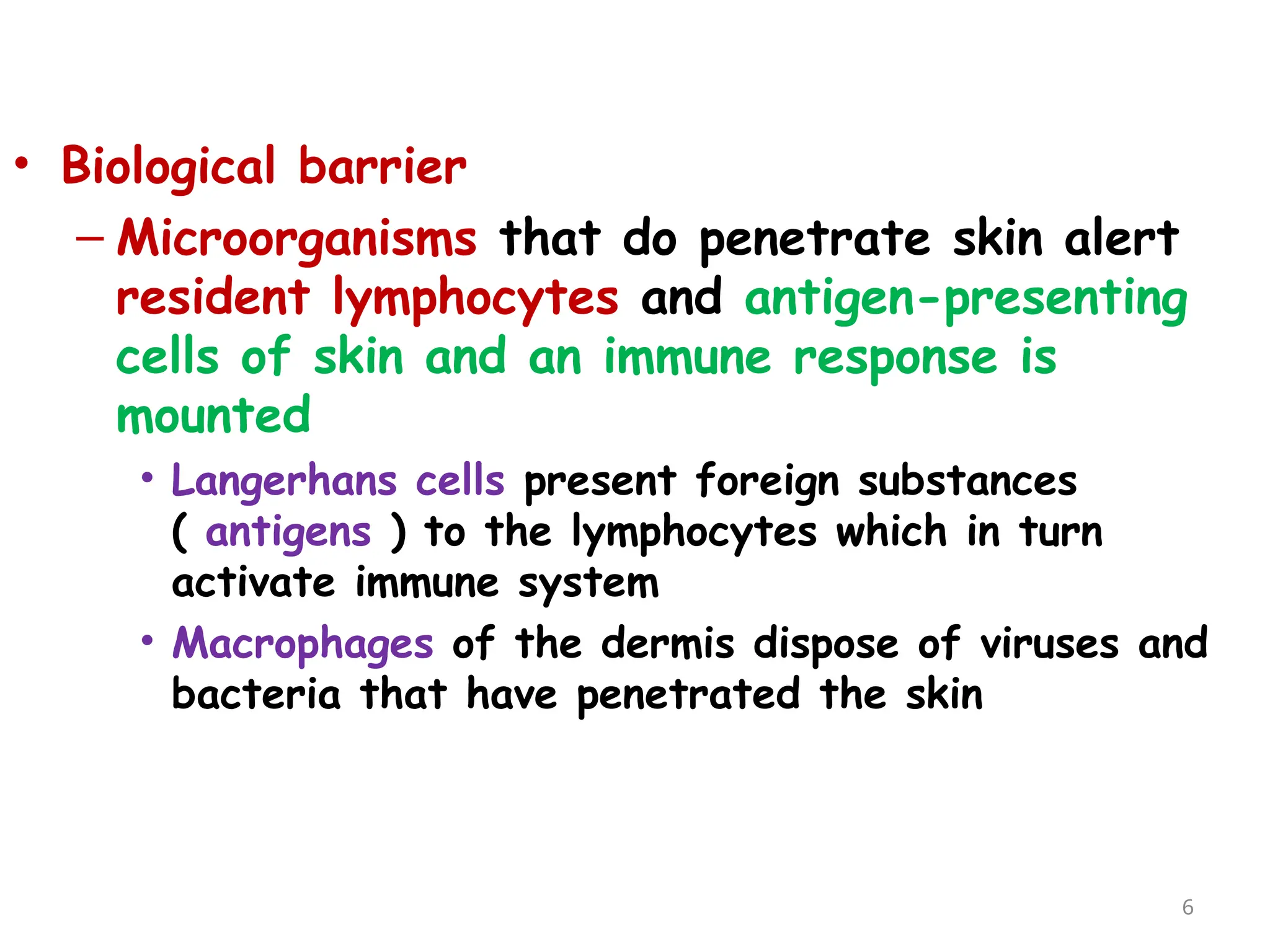 • Biological barrier
– Microorganisms that do penetrate skin alert
resident lymphocytes and antigen-presenting
cells of skin and an immune response is
mounted
• Langerhans cells present foreign substances
( antigens ) to the lymphocytes which in turn
activate immune system
• Macrophages of the dermis dispose of viruses and
bacteria that have penetrated the skin
6
 