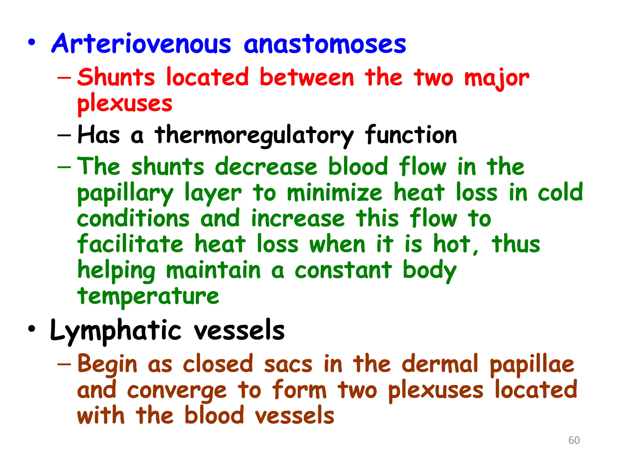 • Arteriovenous anastomoses
– Shunts located between the two major
plexuses
– Has a thermoregulatory function
– The shunts decrease blood flow in the
papillary layer to minimize heat loss in cold
conditions and increase this flow to
facilitate heat loss when it is hot, thus
helping maintain a constant body
temperature
• Lymphatic vessels
– Begin as closed sacs in the dermal papillae
and converge to form two plexuses located
with the blood vessels
60
 