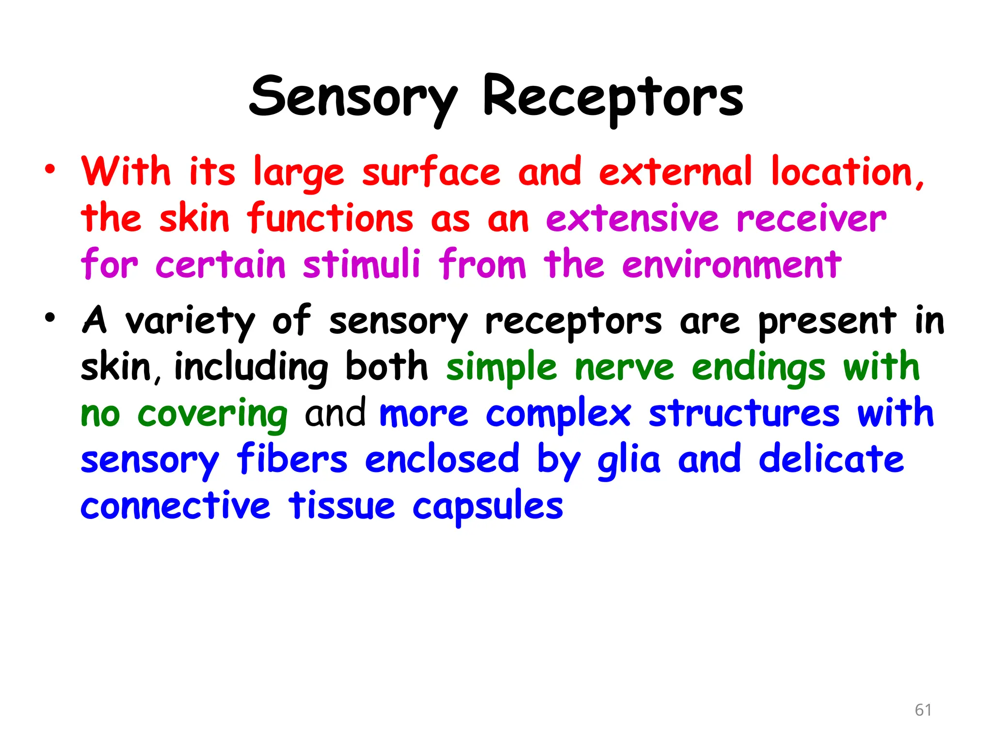 Sensory Receptors
61
• With its large surface and external location,
the skin functions as an extensive receiver
for certain stimuli from the environment
• A variety of sensory receptors are present in
skin, including both simple nerve endings with
no covering and more complex structures with
sensory fibers enclosed by glia and delicate
connective tissue capsules
 