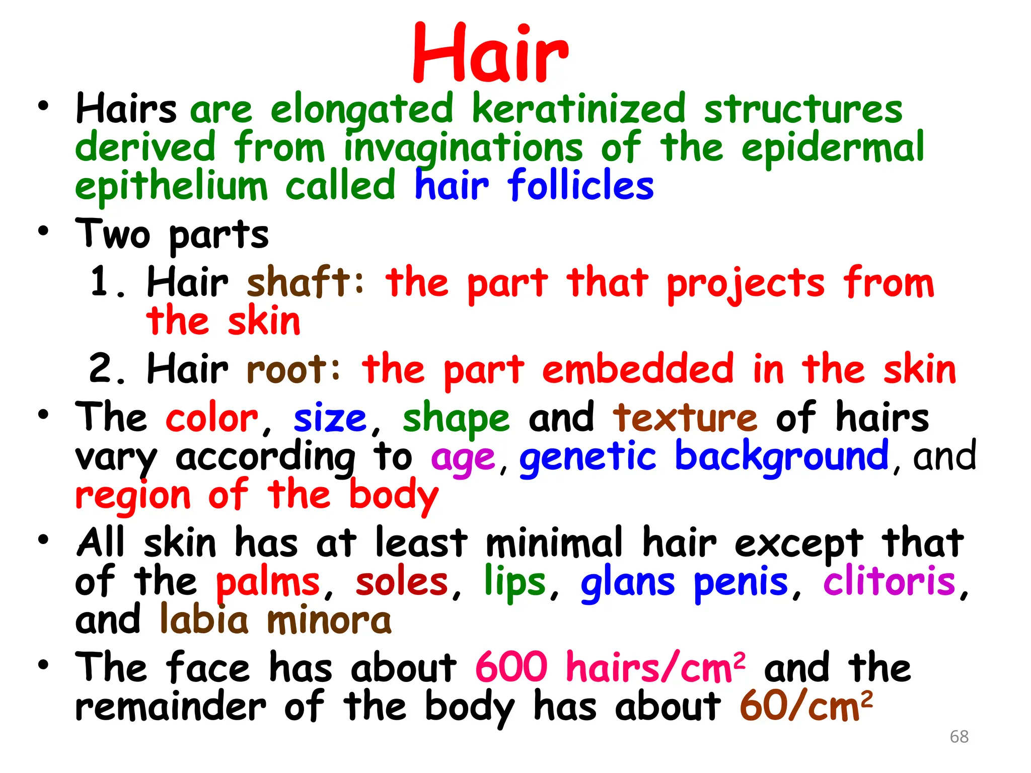 Hair
• Hairs are elongated keratinized structures
derived from invaginations of the epidermal
epithelium called hair follicles
• Two parts
1. Hair shaft: the part that projects from
the skin
2. Hair root: the part embedded in the skin
• The color, size, shape and texture of hairs
vary according to age, genetic background, and
region of the body
• All skin has at least minimal hair except that
of the palms, soles, lips, glans penis, clitoris,
and labia minora
• The face has about 600 hairs/cm2
and the
remainder of the body has about 60/cm2
68
 