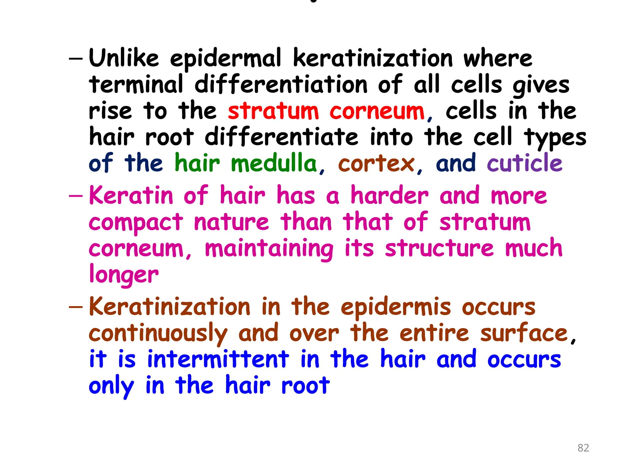 – Unlike epidermal keratinization where
terminal differentiation of all cells gives
rise to the stratum corneum, cells in the
hair root differentiate into the cell types
of the hair medulla, cortex, and cuticle
– Keratin of hair has a harder and more
compact nature than that of stratum
corneum, maintaining its structure much
longer
– Keratinization in the epidermis occurs
continuously and over the entire surface,
it is intermittent in the hair and occurs
only in the hair root
82
 