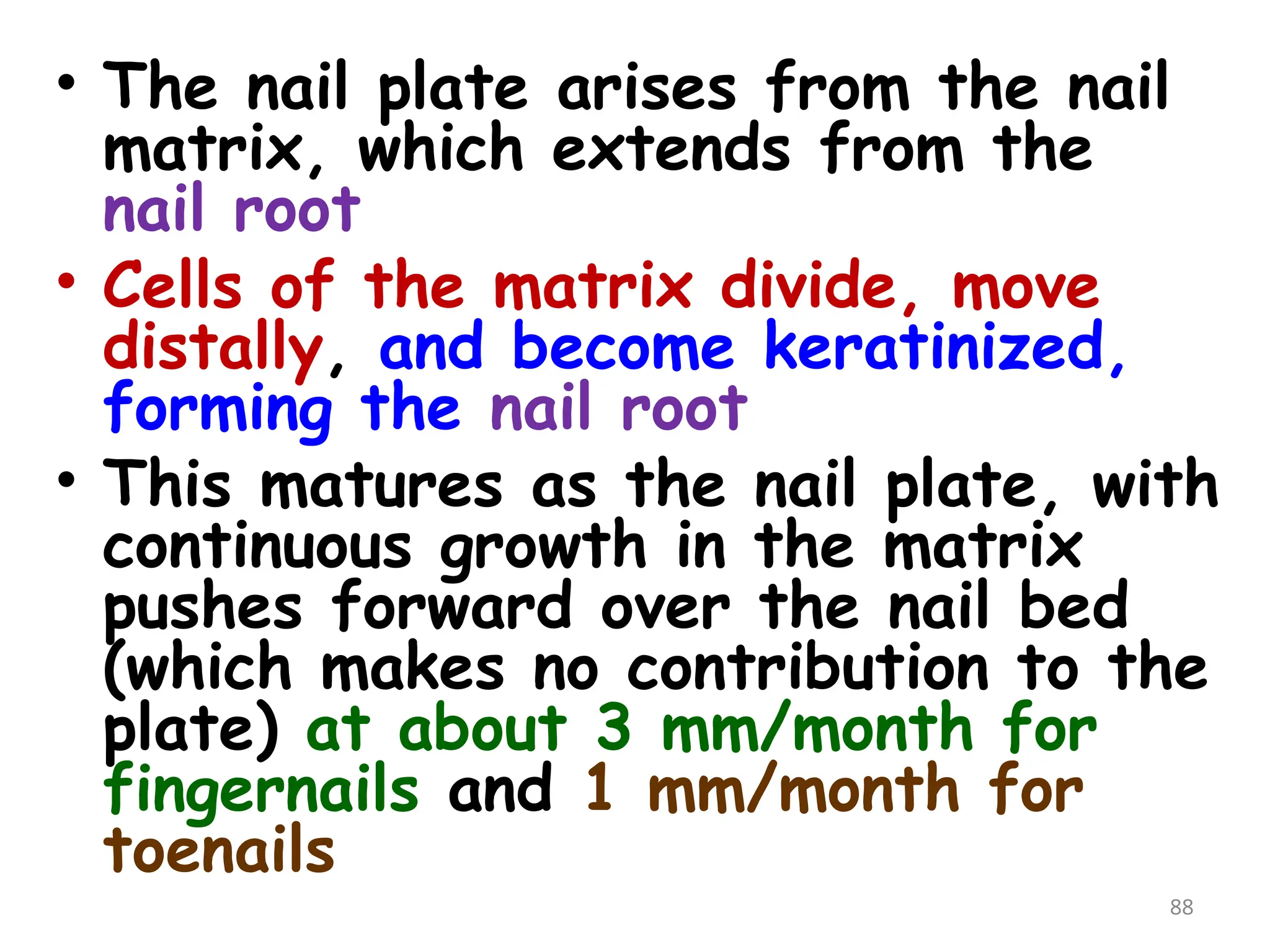 • The nail plate arises from the nail
matrix, which extends from the
nail root
• Cells of the matrix divide, move
distally, and become keratinized,
forming the nail root
• This matures as the nail plate, with
continuous growth in the matrix
pushes forward over the nail bed
(which makes no contribution to the
plate) at about 3 mm/month for
fingernails and 1 mm/month for
toenails
88
 