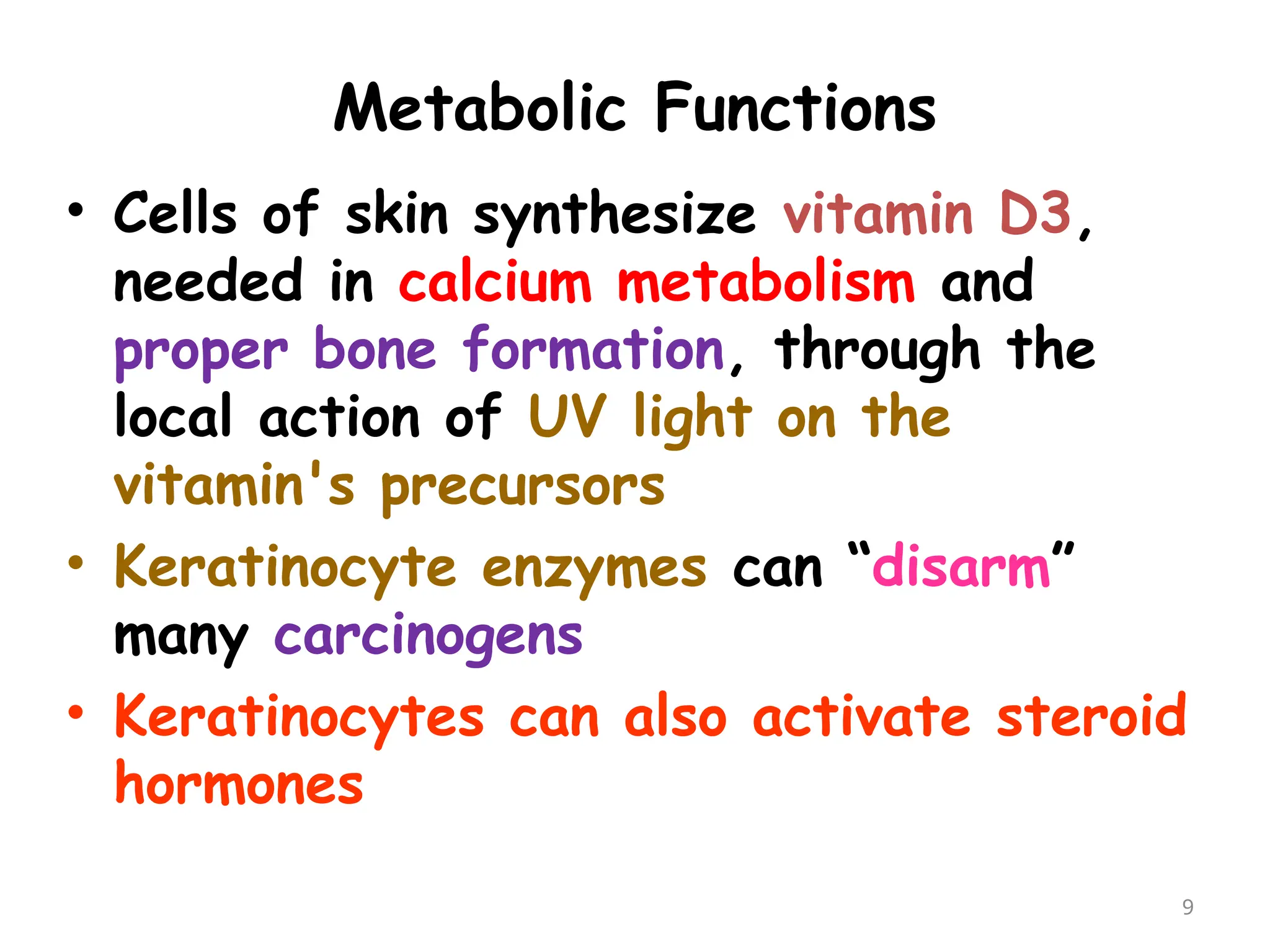 Metabolic Functions
9
• Cells of skin synthesize vitamin D3,
needed in calcium metabolism and
proper bone formation, through the
local action of UV light on the
vitamin's precursors
• Keratinocyte enzymes can “disarm”
many carcinogens
• Keratinocytes can also activate steroid
hormones
 