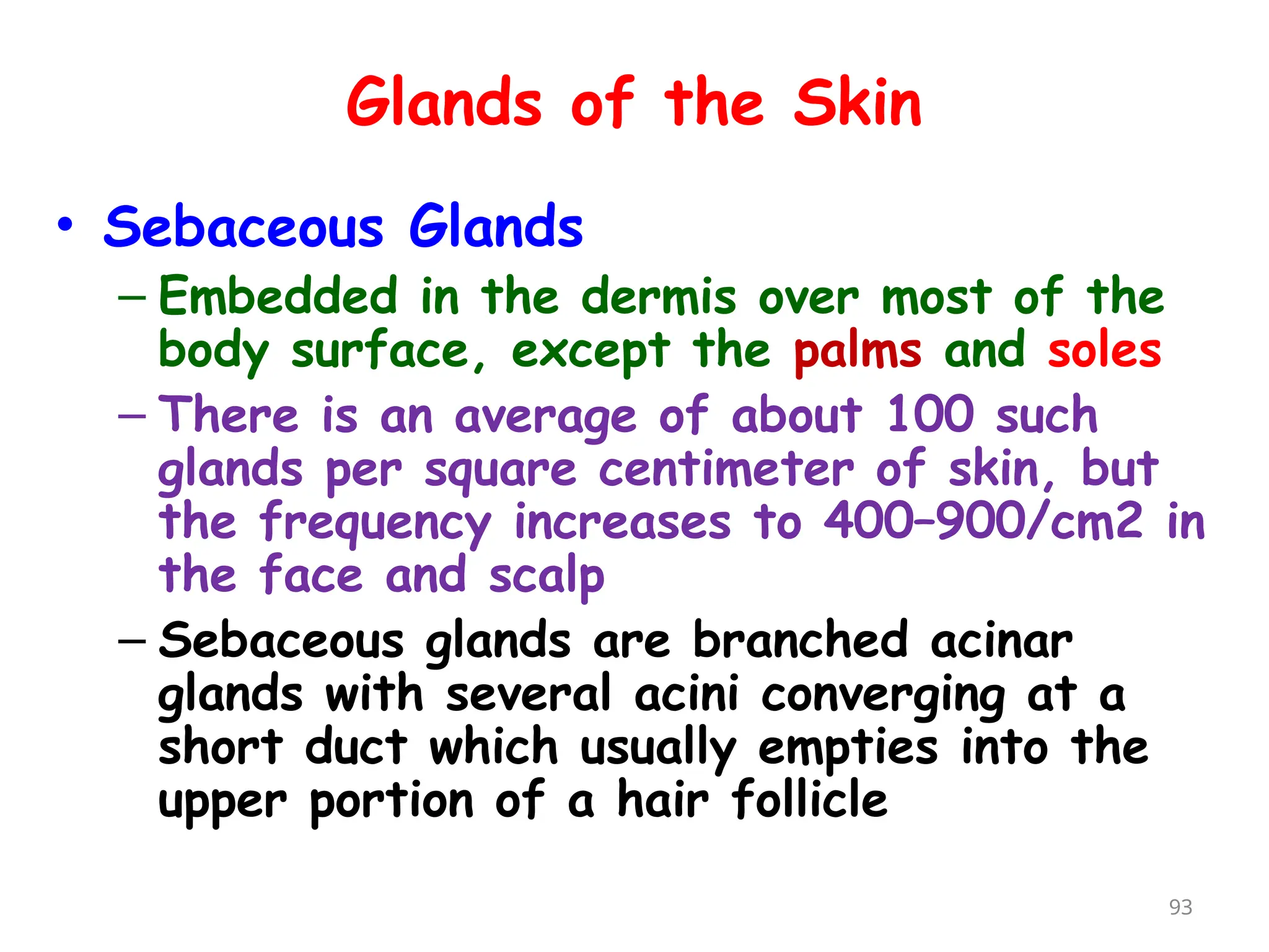 Glands of the Skin
• Sebaceous Glands
– Embedded in the dermis over most of the
body surface, except the palms and soles
– There is an average of about 100 such
glands per square centimeter of skin, but
the frequency increases to 400–900/cm2 in
the face and scalp
– Sebaceous glands are branched acinar
glands with several acini converging at a
short duct which usually empties into the
upper portion of a hair follicle
93
 