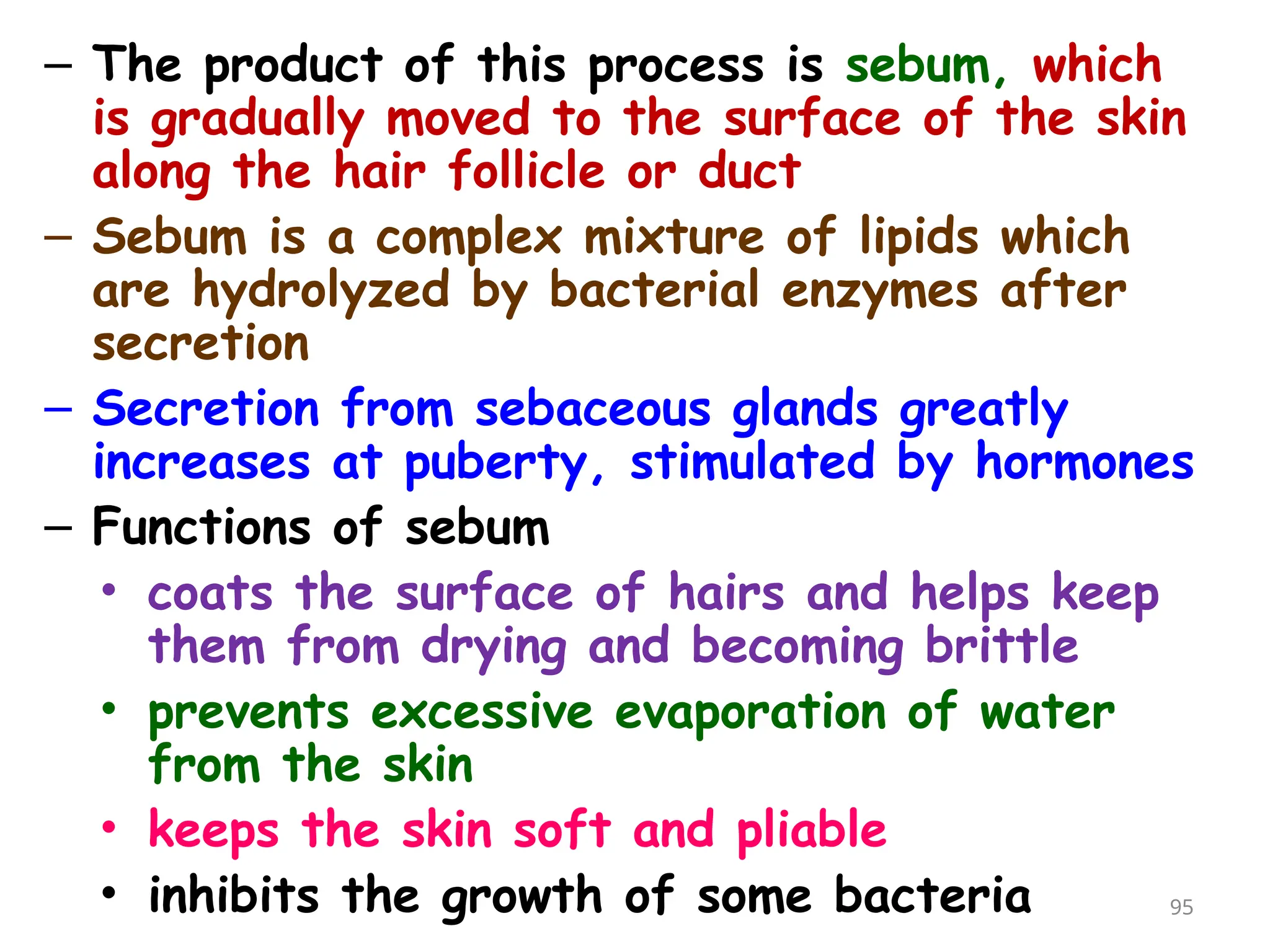 – The product of this process is sebum, which
is gradually moved to the surface of the skin
along the hair follicle or duct
– Sebum is a complex mixture of lipids which
are hydrolyzed by bacterial enzymes after
secretion
– Secretion from sebaceous glands greatly
increases at puberty, stimulated by hormones
– Functions of sebum
• coats the surface of hairs and helps keep
them from drying and becoming brittle
• prevents excessive evaporation of water
from the skin
• keeps the skin soft and pliable
• inhibits the growth of some bacteria 95
 