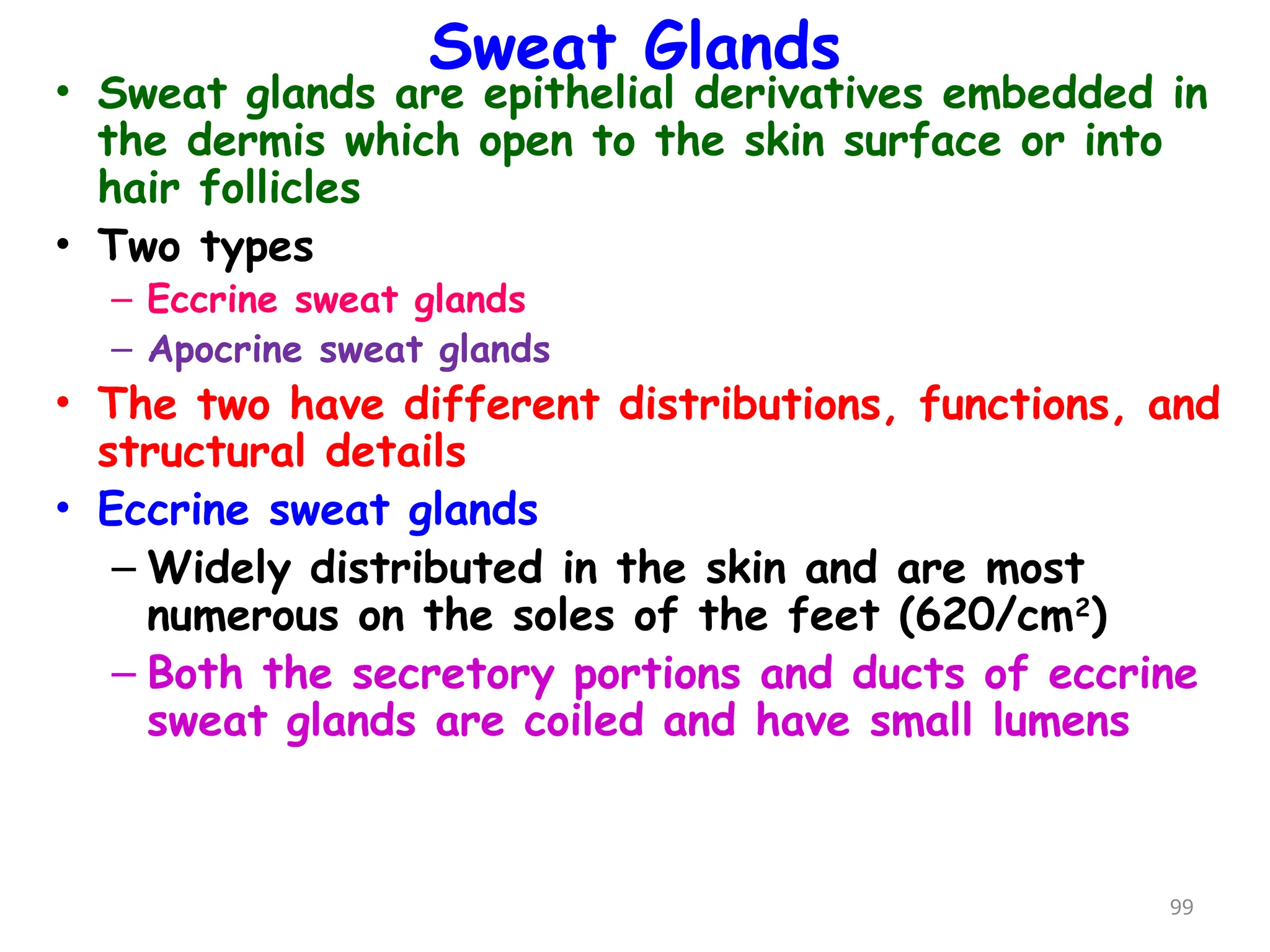 Sweat Glands
• Sweat glands are epithelial derivatives embedded in
the dermis which open to the skin surface or into
hair follicles
• Two types
– Eccrine sweat glands
– Apocrine sweat glands
• The two have different distributions, functions, and
structural details
• Eccrine sweat glands
– Widely distributed in the skin and are most
numerous on the soles of the feet (620/cm2
)
– Both the secretory portions and ducts of eccrine
sweat glands are coiled and have small lumens
99
 