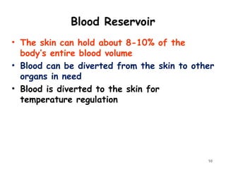 Blood Reservoir
10
• The skin can hold about 8-10% of the
body’s entire blood volume
• Blood can be diverted from the skin to other
organs in need
• Blood is diverted to the skin for
temperature regulation
 