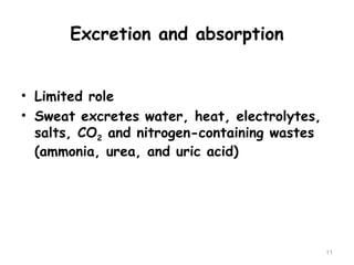 Excretion and absorption
11
• Limited role
• Sweat excretes water, heat, electrolytes,
salts, CO2 and nitrogen-containing wastes
(ammonia, urea, and uric acid)
 