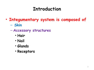 Introduction
• Integumentary system is composed of
– Skin
– Accessory structures
• Hair
• Nail
• Glands
• Receptors
2
 