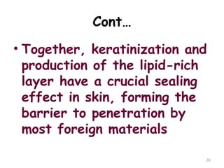 Cont…
• Together, keratinization and
production of the lipid-rich
layer have a crucial sealing
effect in skin, forming the
barrier to penetration by
most foreign materials
26
 
