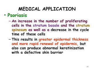 MEDICAL APPLICATION
• Psoriasis
– An increase in the number of proliferating
cells in the stratum basale and the stratum
spinosum as well as a decrease in the cycle
time of these cells
– This results in greater epidermal thickness
and more rapid renewal of epidermis, but
also can produce abnormal keratinization
with a defective skin barrier
31
 