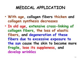 MEDICAL APPLICATION
• With age, collagen fibers thicken and
collagen synthesis decreases
• In old age, extensive cross-linking of
collagen fibers, the loss of elastic
fibers, and degeneration of these
fibers due to excessive exposure to
the sun cause the skin to become more
fragile, lose its suppleness, and
develop wrinkles
54
 