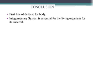CONCLUSION
• First line of defense for body.
• Integumentary System is essential for the living organism for
its survival.
 