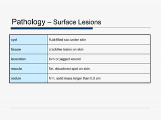 Induration Cyst Integumentary System | PPT