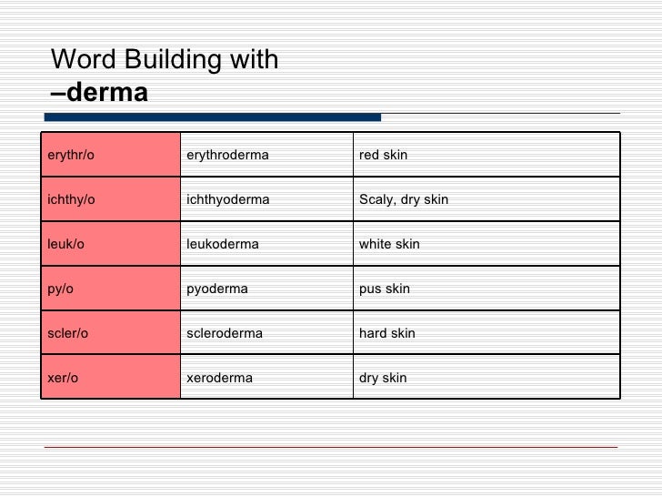 Integumentary System
