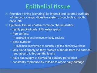 Epithelial tissue
⦿ Provides a lining (covering) for internal and external surfaces
of the body - lungs, digestive system, bronchioles, mouth,
nose, etc.
⦿ Epithelial tissues contain common characteristics
⚫ tightly packed cells: little extra space
⚫ free surface:
○ exposed to environment or body cavities
⚫ deep surface:
○ basement membrane to connect it to the connective tissue
⚫ lack blood supply so they receive nutrients from the surface
and absorb it through the layers
⚫ have rick supply of nerves for sensory perception
⚫ constantly reproduce by mitosis to repair daily damage
 